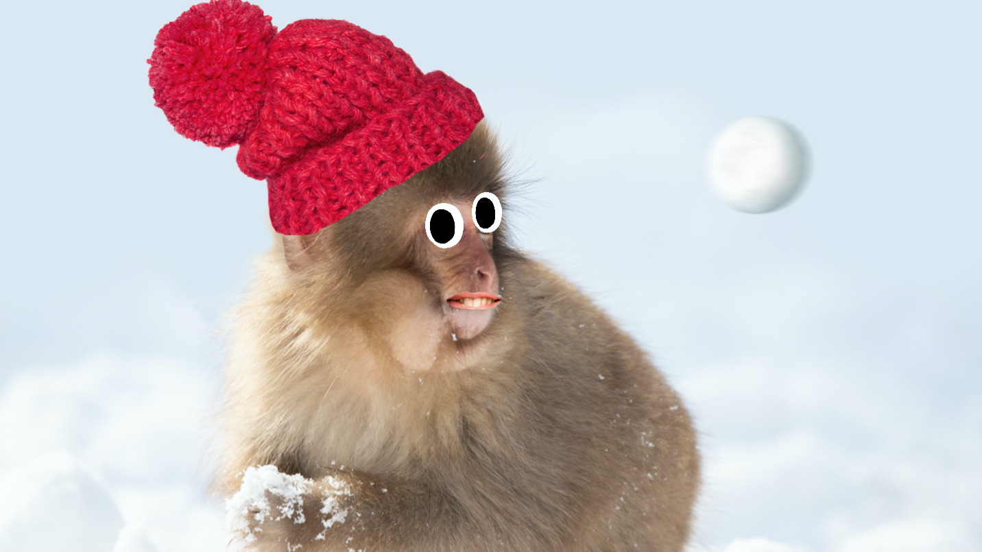 A Japanese macaque having a snowball fight