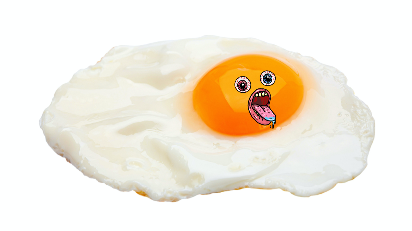 A fried egg