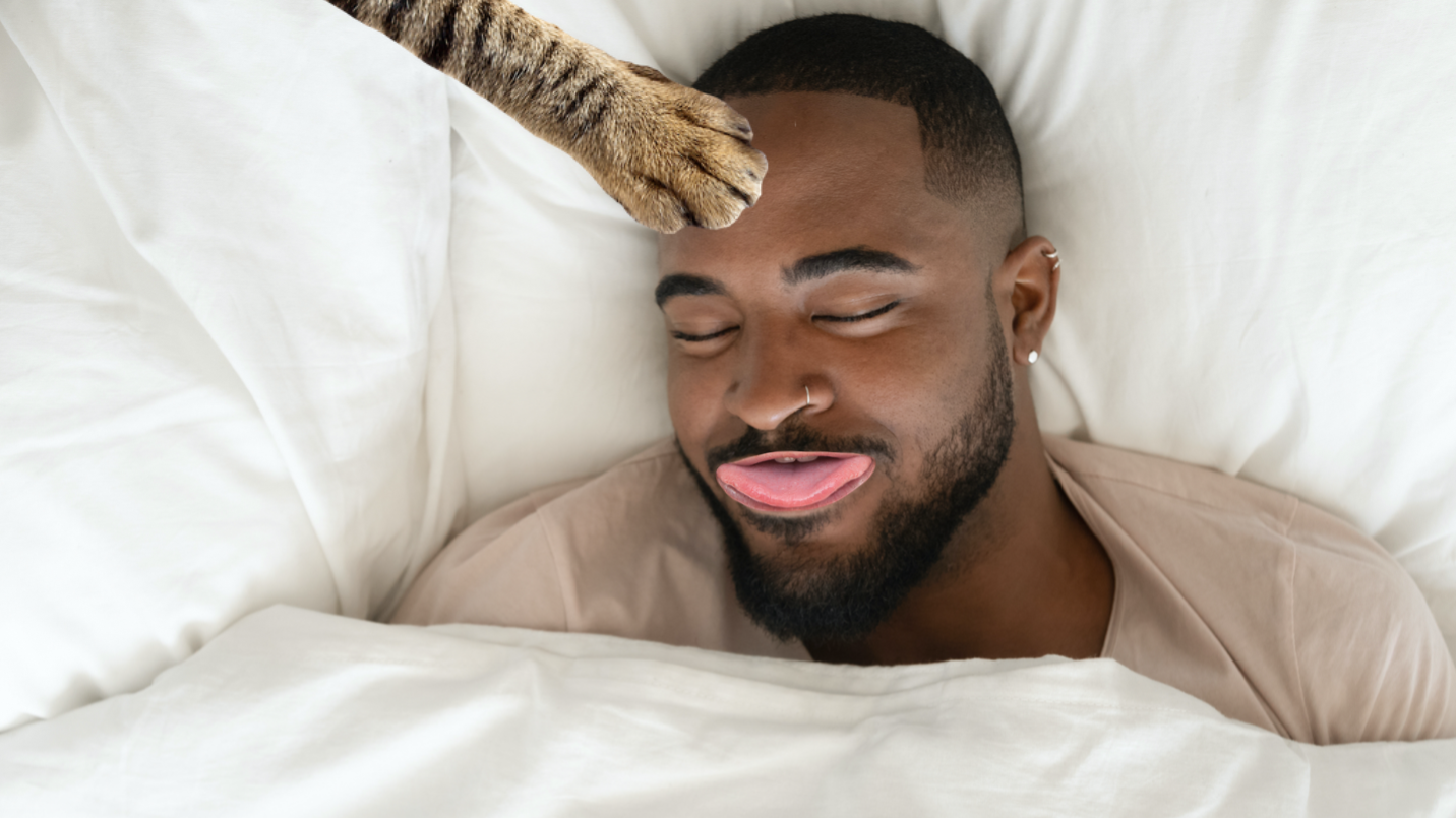 A cat patting a sleeping man's forehead