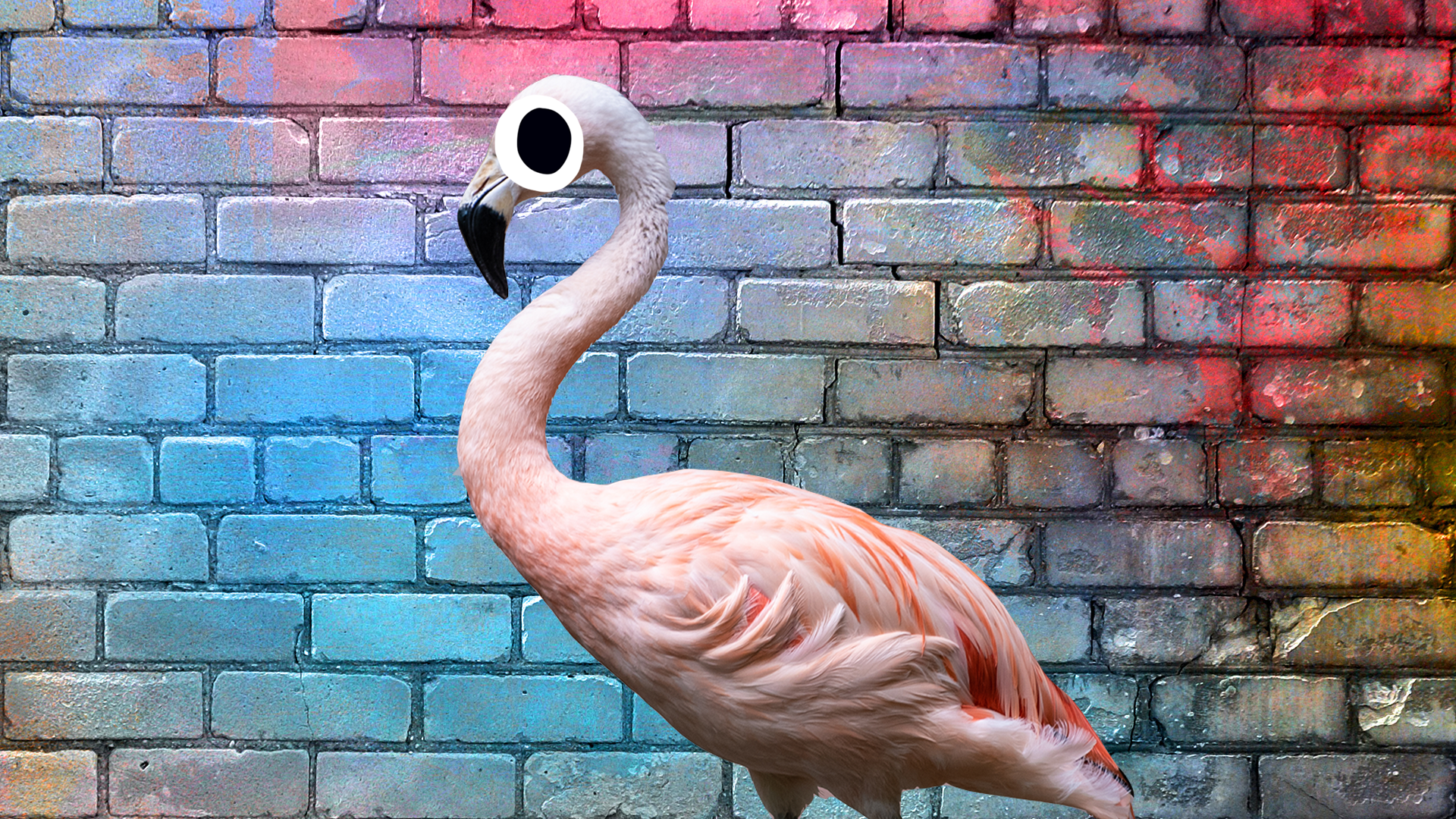 A pink flamingo