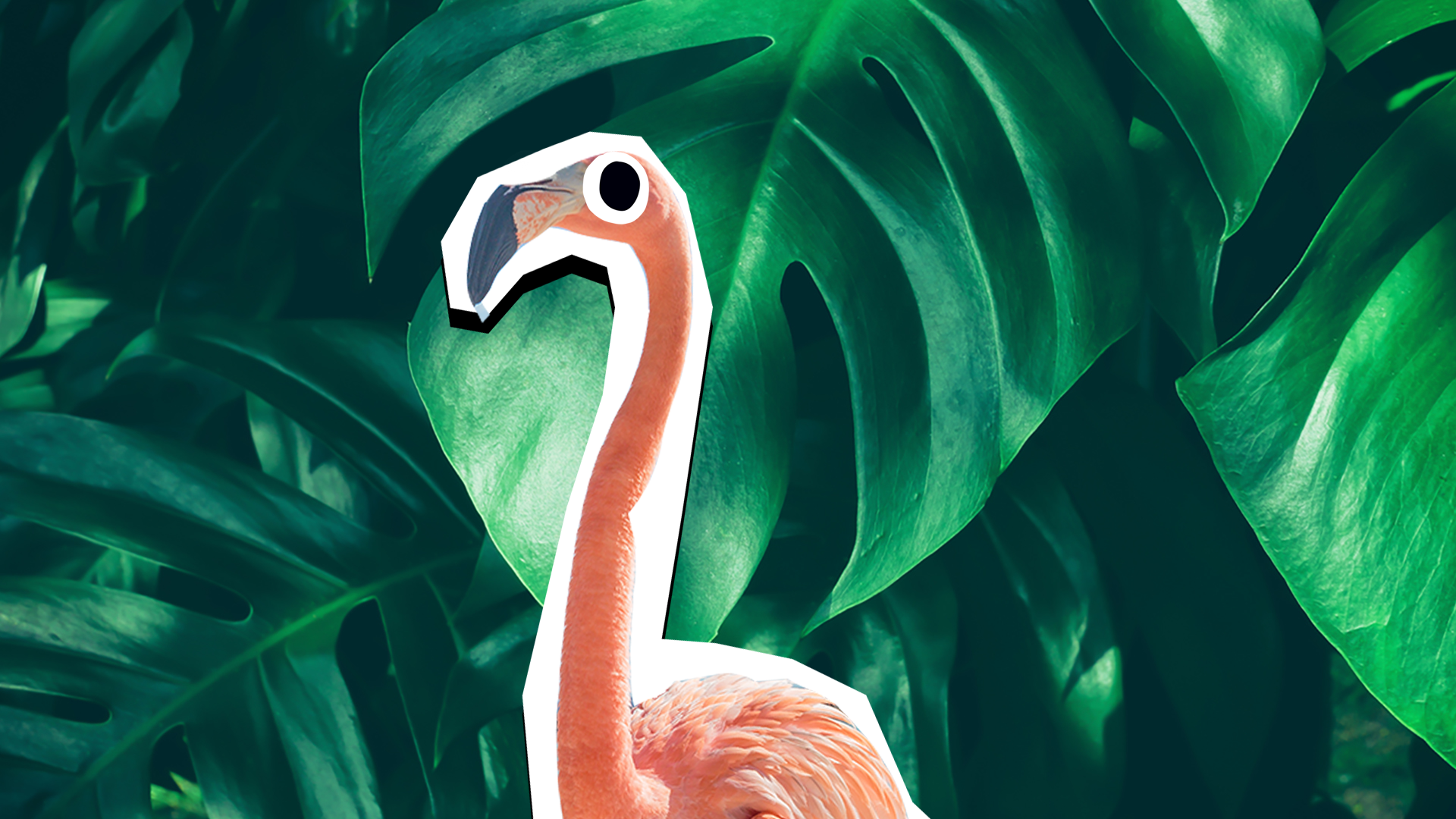 A pink flamingo