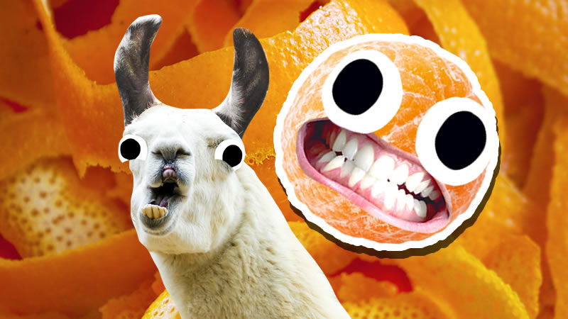 Grinning orange and a surprised looking goat