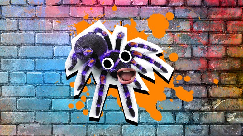 An open mouthed purple spider