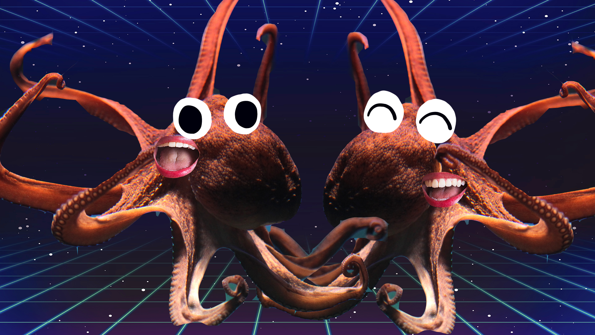 Two laughing octopuses