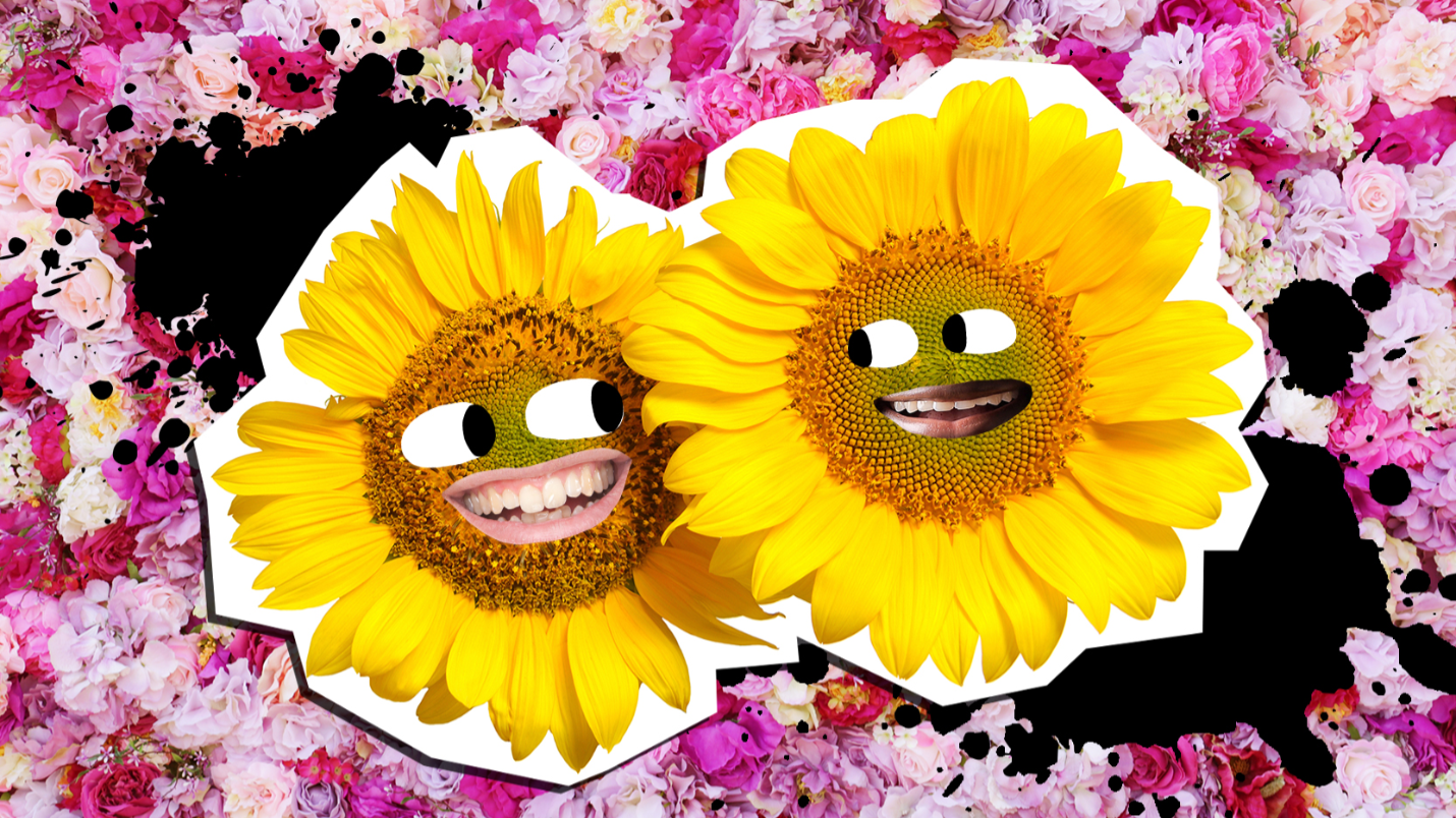 20 Flowers Jokes Which Are Blooming Funny 