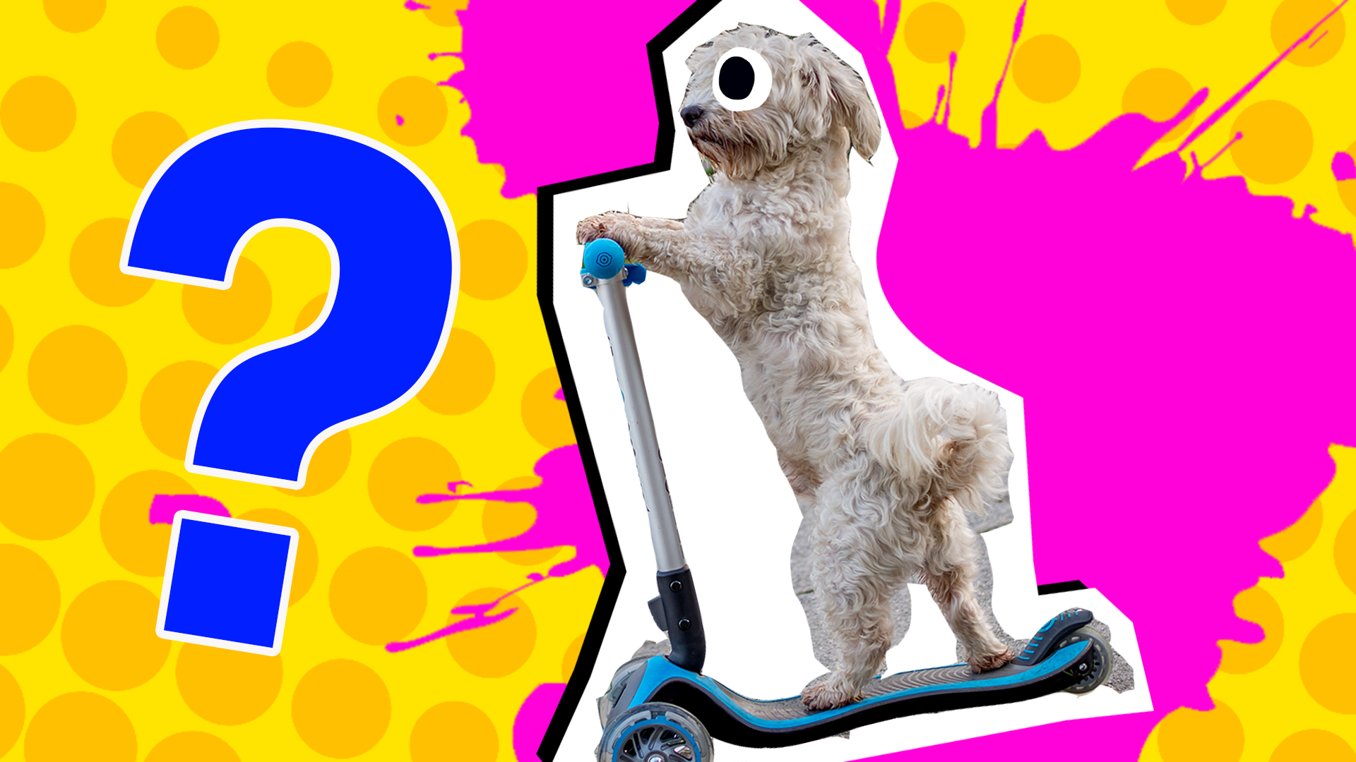 Scooter Quiz Thumbnail