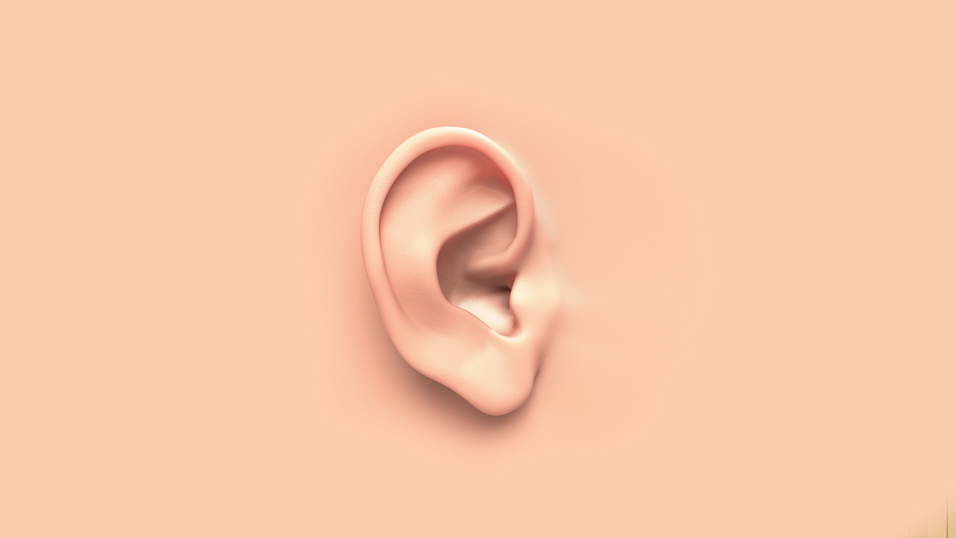Ear