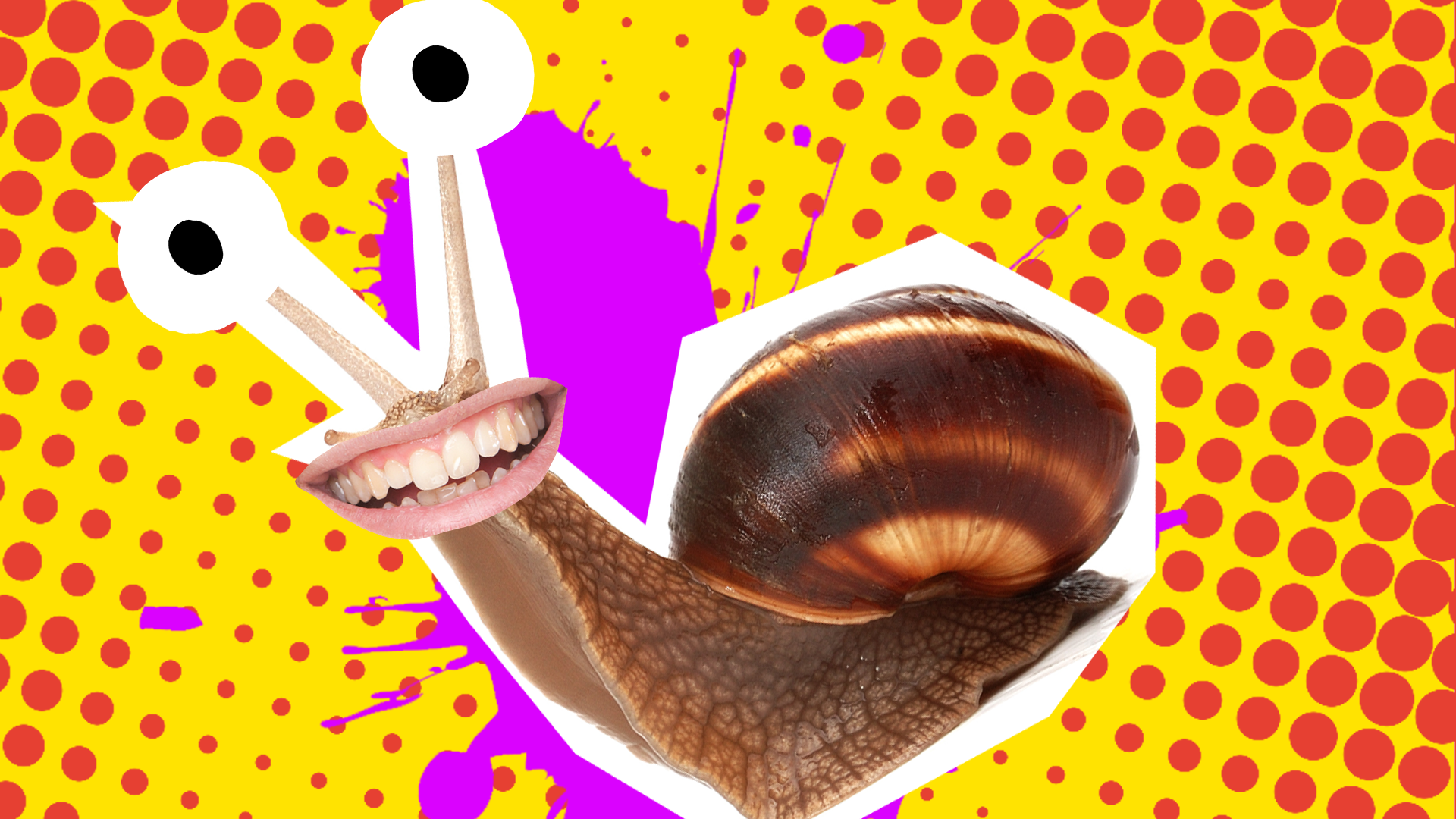 Snail Jokes Thumbnail