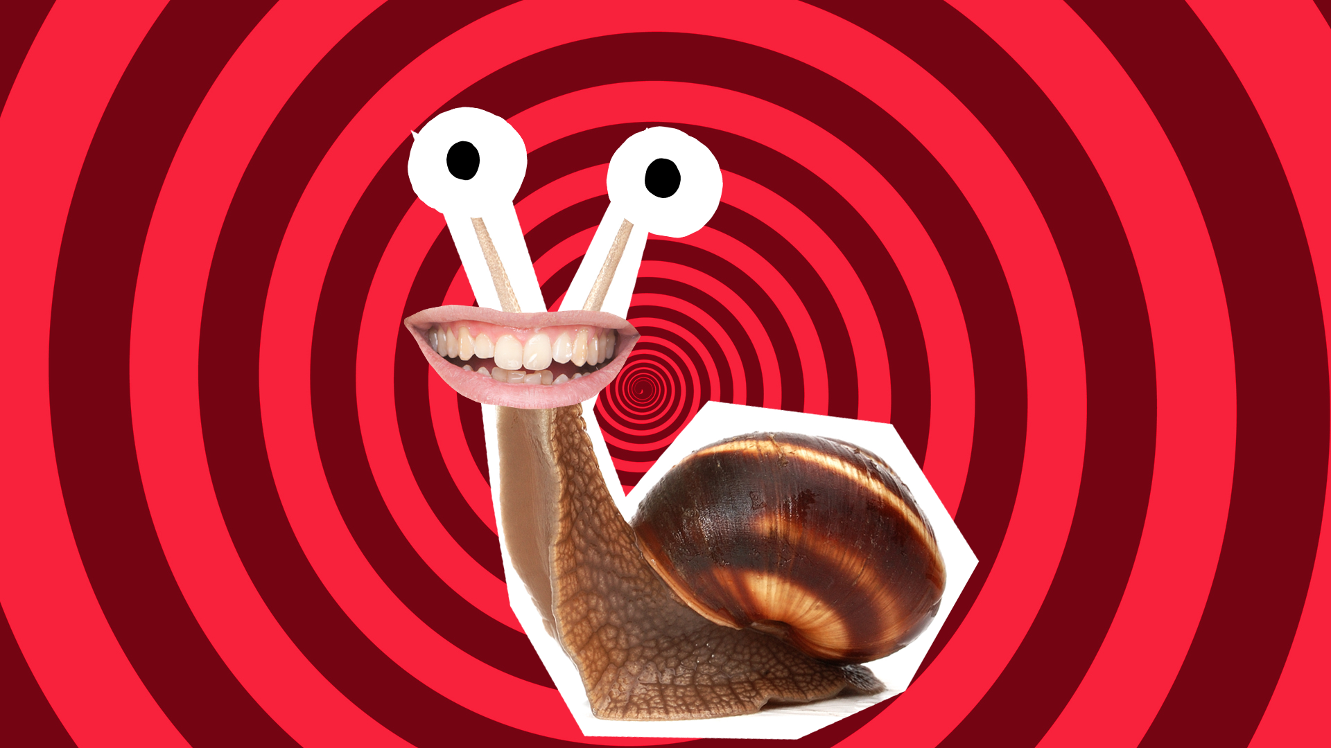 A grinning brown snail