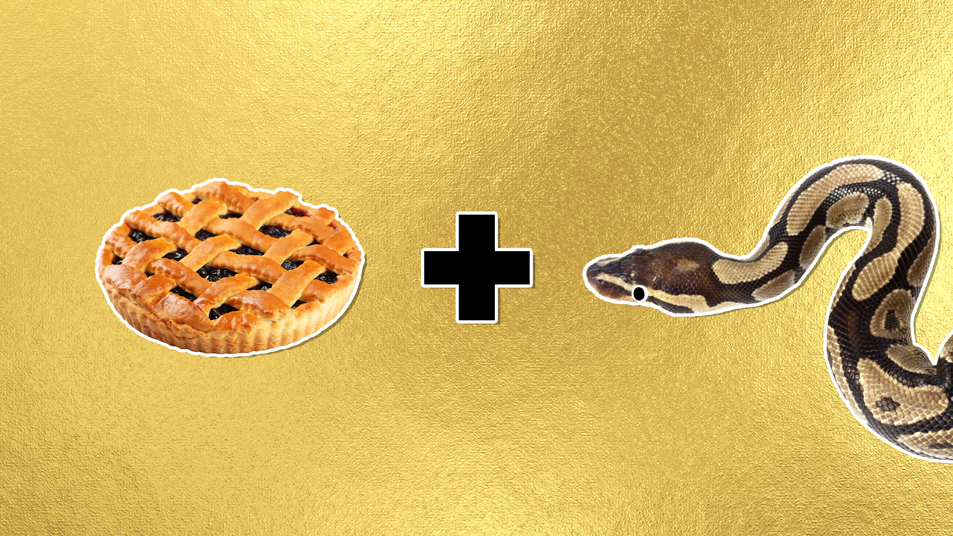 A pie and a snake