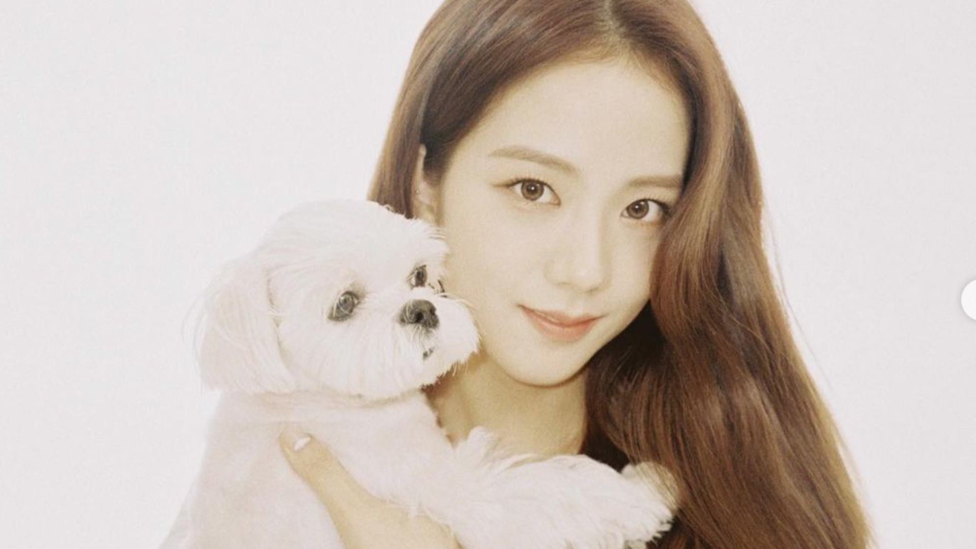 Jisoo with her pet dog