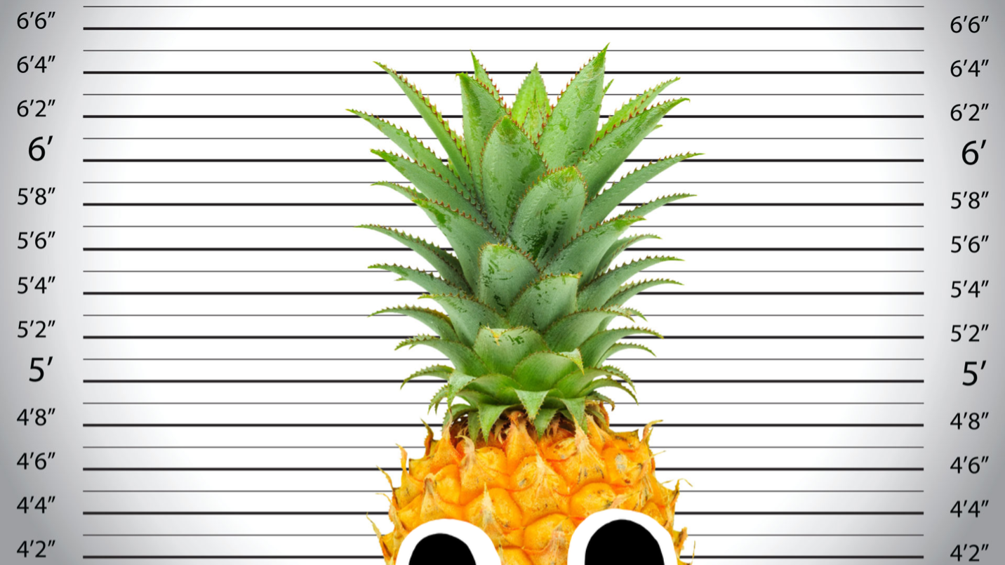 A pineapple 