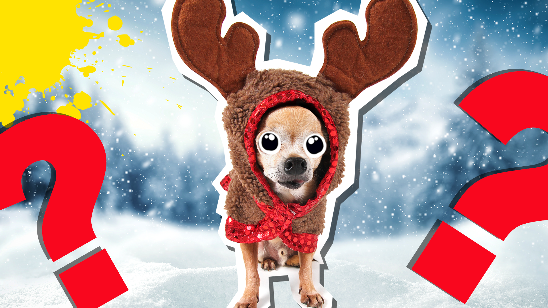 Dog in reindeer costume