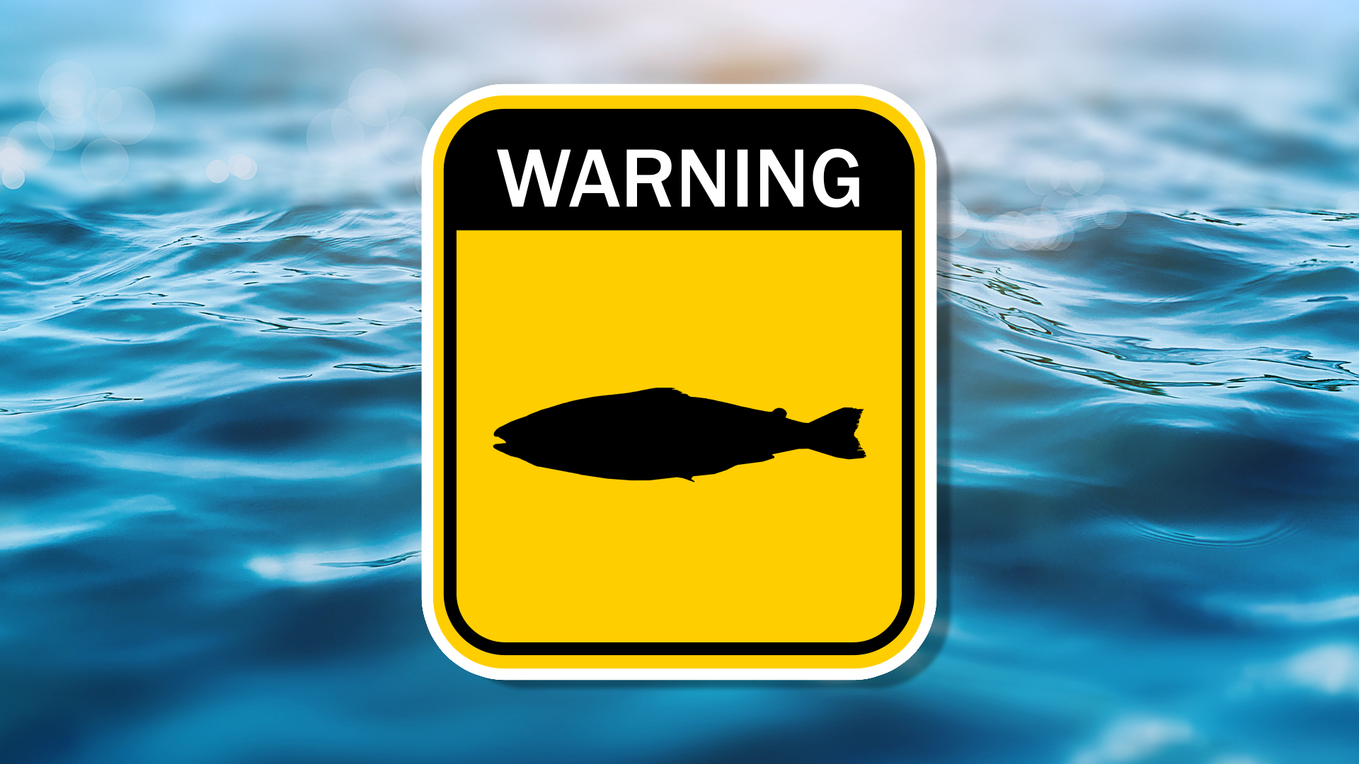 Poison fish warning sign