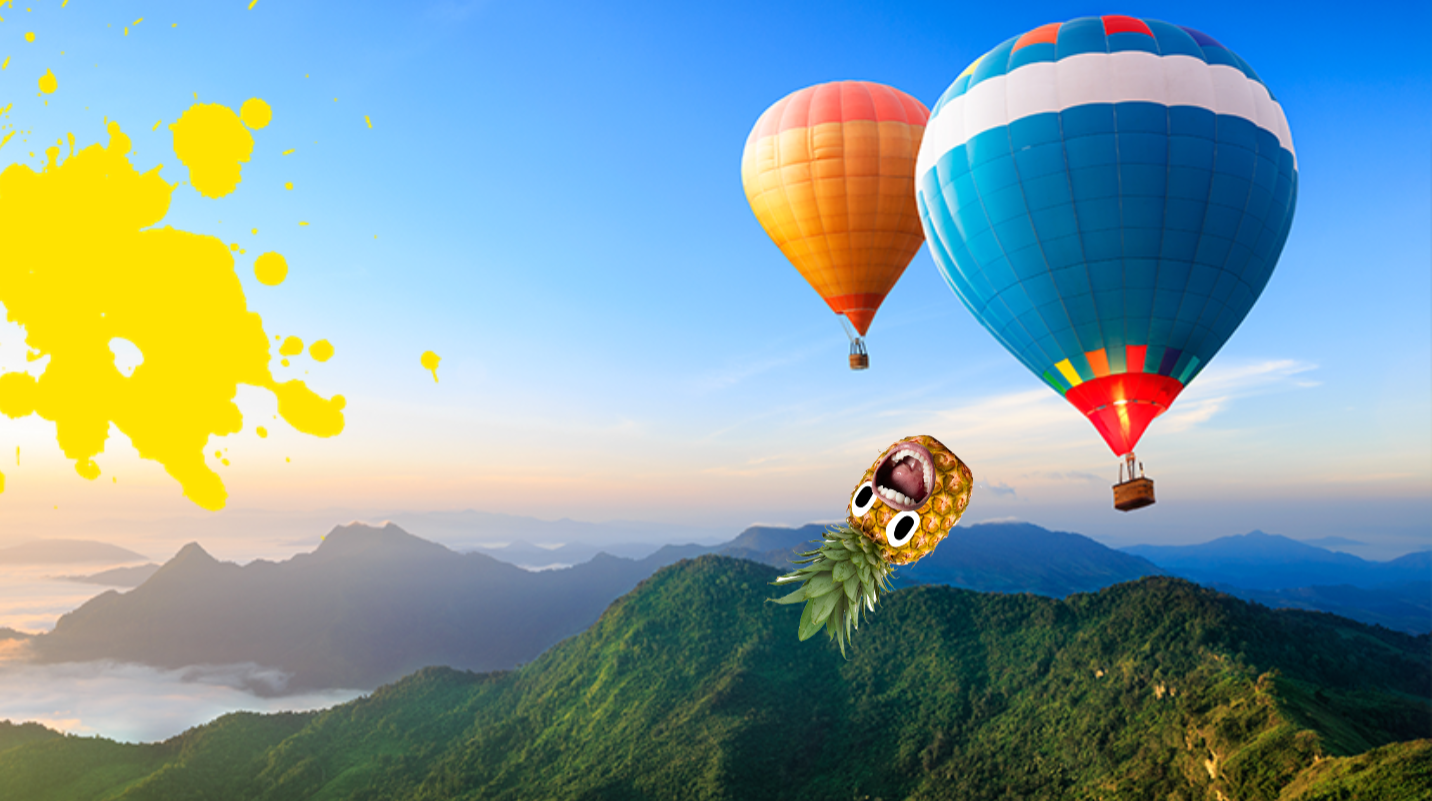 Hot air balloons over mountains