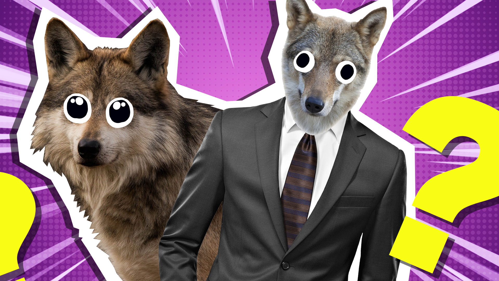 Are you A Therian?  Animal quiz, Beautiful wolves, Cartoon wolf