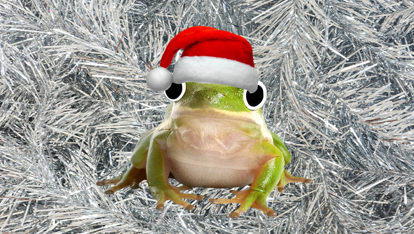 A green frog wearing a red Santa hat in front of a silver tinsel background