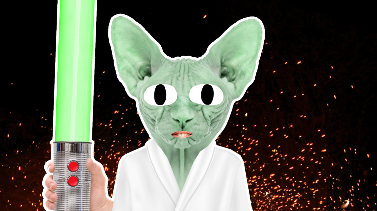 A green Jedi cat with a lightsaber