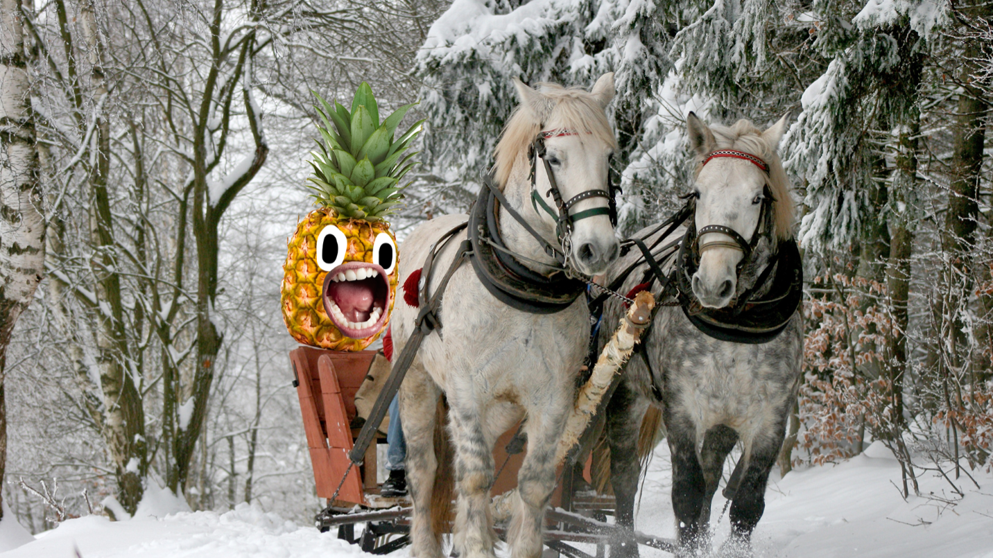 Horses pulling sleigh through snow