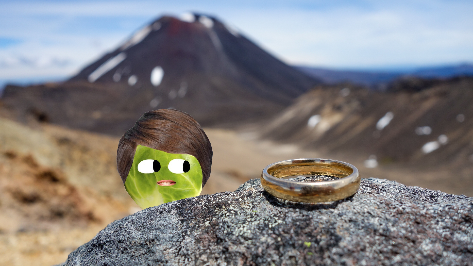 A ring on a rock