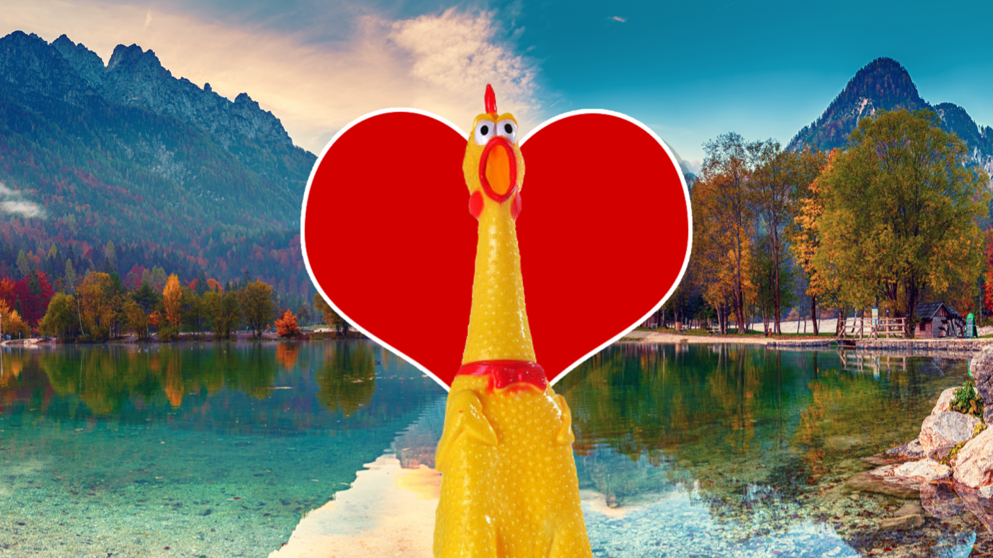 A rubber chicken in love with nature