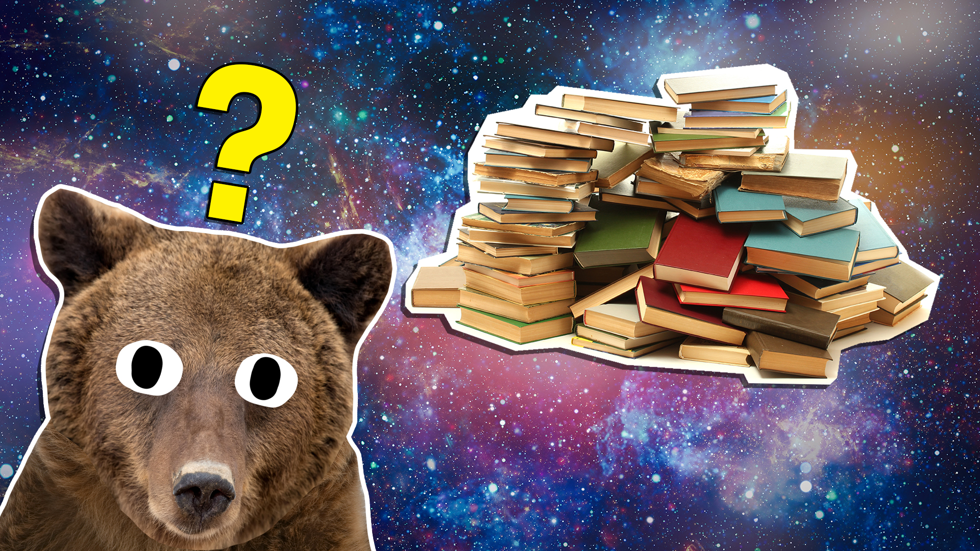 A bear and a pile of books
