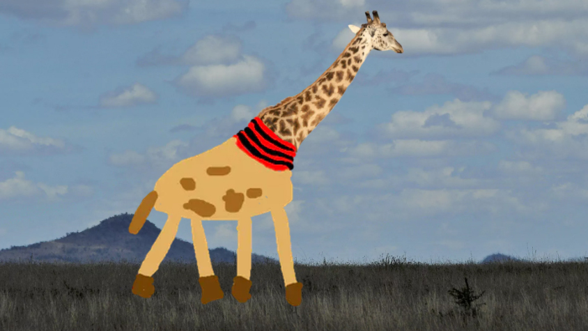 Giraffe wearing a red and black scarf