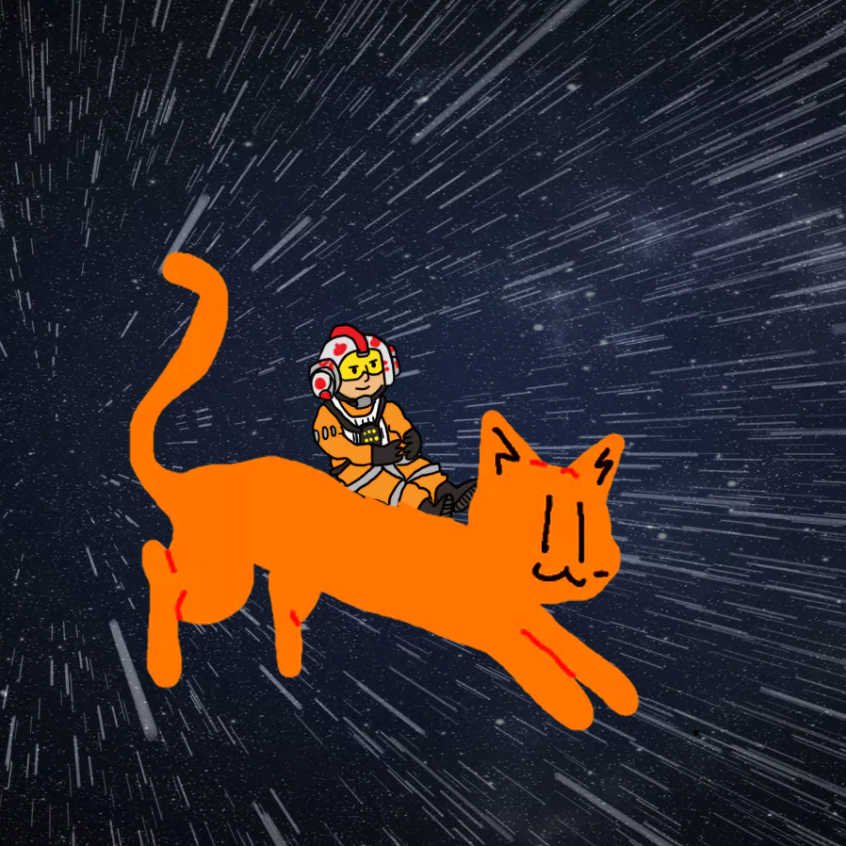 Fighter pilot riding a cat in space