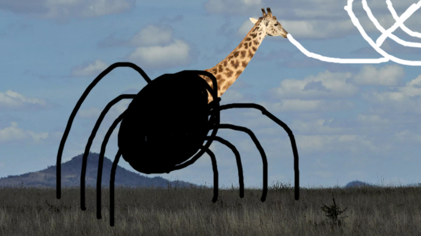 spider giraffe